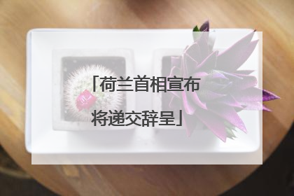 荷兰首相宣布将递交辞呈