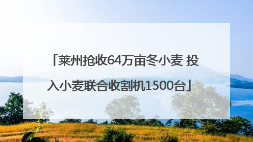 莱州抢收64万亩冬小麦 投入小麦联合收割机1500台
