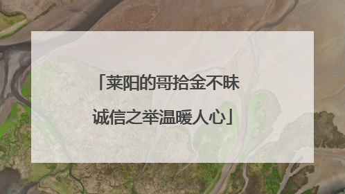 莱阳的哥拾金不昧 诚信之举温暖人心