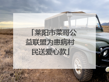 莱阳市菜哥公益联盟为患病村民送爱心款