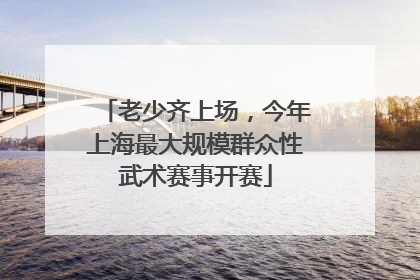 老少齐上场，今年上海最大规模群众性武术赛事开赛