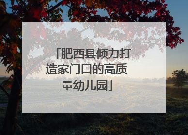 肥西县倾力打造家门口的高质量幼儿园