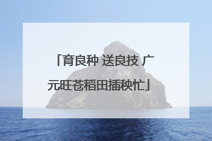 育良种 送良技 广元旺苍稻田插秧忙
