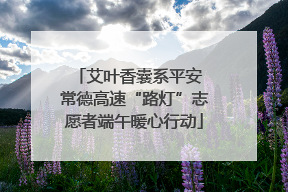 艾叶香囊系平安 常德高速“路灯”志愿者端午暖心行动