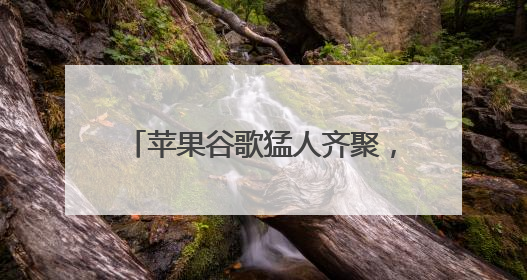 苹果谷歌猛人齐聚，英特尔打造AI芯片界的“复仇者联盟”