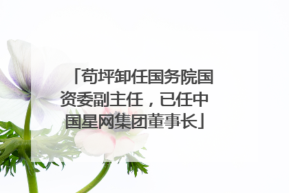 苟坪卸任国务院国资委副主任，已任中国星网集团董事长