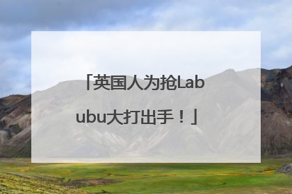 英国人为抢Labubu大打出手！