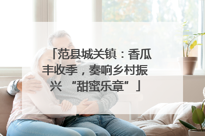 范县城关镇：香瓜丰收季，奏响乡村振兴 “甜蜜乐章”
