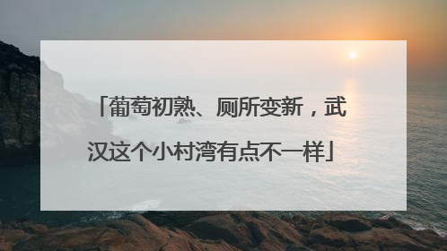 葡萄初熟、厕所变新，武汉这个小村湾有点不一样