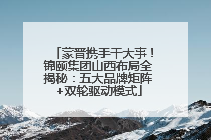 蒙晋携手干大事！锦颐集团山西布局全揭秘：五大品牌矩阵+双轮驱动模式
