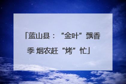 蓝山县：“金叶”飘香季 烟农赶“烤”忙