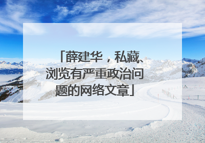 薛建华，私藏、浏览有严重政治问题的网络文章