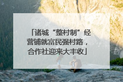 诸城“整村制”经营铺就富民强村路，合作社迎来大丰收