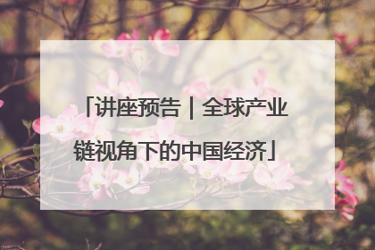 讲座预告｜全球产业链视角下的中国经济