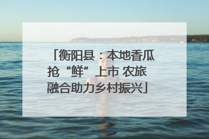 衡阳县：本地香瓜抢“鲜”上市 农旅融合助力乡村振兴