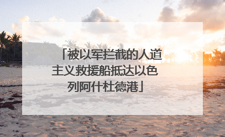 被以军拦截的人道主义救援船抵达以色列阿什杜德港