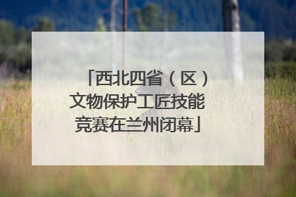 西北四省（区）文物保护工匠技能竞赛在兰州闭幕