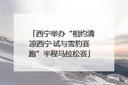 西宁举办“相约清凉西宁·试与雪豹赛跑”半程马拉松赛