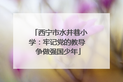 西宁市水井巷小学：牢记党的教导 争做强国少年