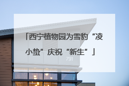 西宁植物园为雪豹“凌小蛰”庆祝“新生”