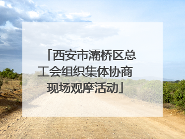 西安市灞桥区总工会组织集体协商现场观摩活动