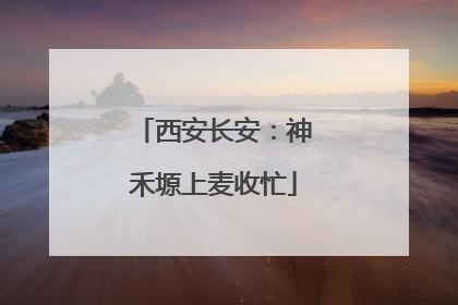 西安长安：神禾塬上麦收忙