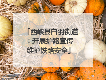 西峡县白羽街道：开展护路宣传 维护铁路安全