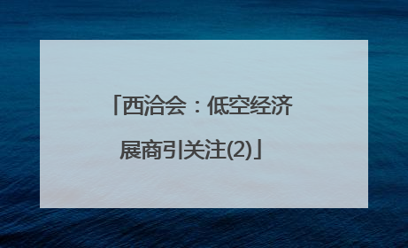 西洽会：低空经济展商引关注(2)