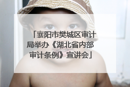 襄阳市樊城区审计局举办《湖北省内部审计条例》宣讲会