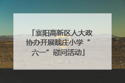 襄阳高新区人大政协办开展魏庄小学“六一”慰问活动