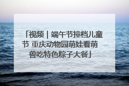 视频｜端午节撞档儿童节 重庆动物园萌娃看萌兽吃特色粽子大餐