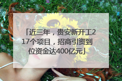 近三年，贵安新开工217个项目，招商引资到位资金达400亿元