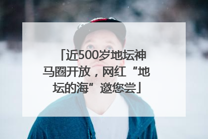 近500岁地坛神马圈开放，网红“地坛的海”邀您尝