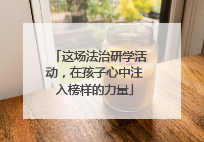 这场法治研学活动，在孩子心中注入榜样的力量