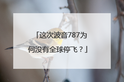 这次波音787为何没有全球停飞？