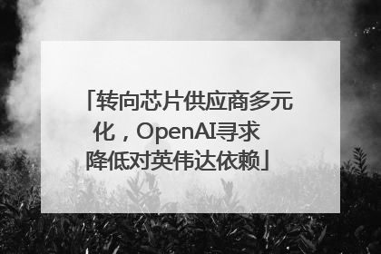 转向芯片供应商多元化，OpenAI寻求降低对英伟达依赖