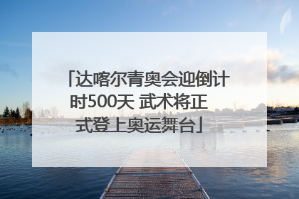 达喀尔青奥会迎倒计时500天 武术将正式登上奥运舞台