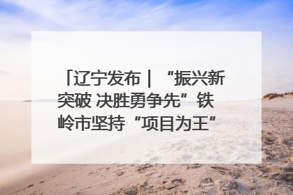 辽宁发布｜“振兴新突破 决胜勇争先”铁岭市坚持“项目为王”推进经济高质量发展