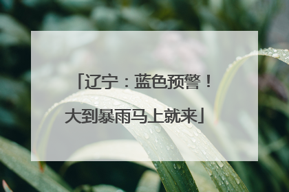 辽宁：蓝色预警！大到暴雨马上就来