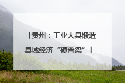 贵州：工业大县锻造县域经济“硬脊梁”