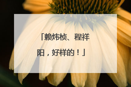 赖炜桢、程祥阳，好样的！