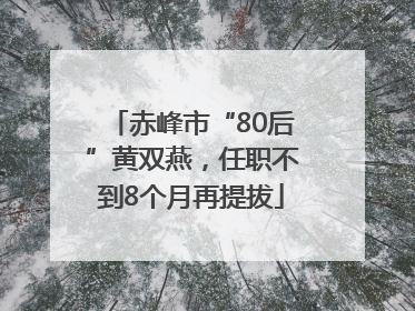 赤峰市“80后”黄双燕，任职不到8个月再提拔