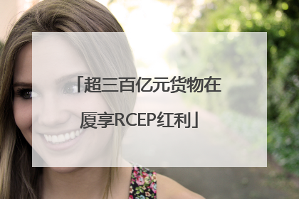 超三百亿元货物在厦享RCEP红利