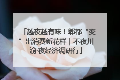 越夜越有味！郫都“变”出消费新花样｜不夜川渝·夜经济调研行