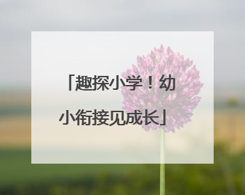 趣探小学！幼小衔接见成长