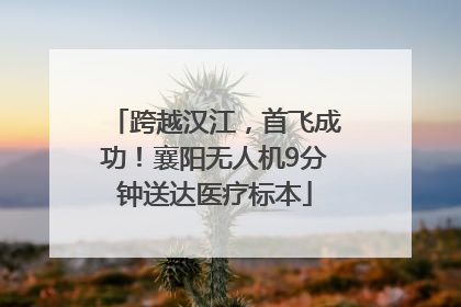 跨越汉江，首飞成功！襄阳无人机9分钟送达医疗标本