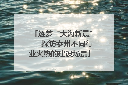 逐梦“大海新晨”——探访泰州不同行业火热的建设场景