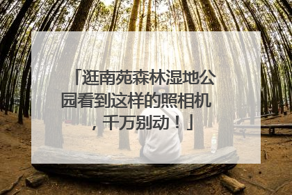 逛南苑森林湿地公园看到这样的照相机，千万别动！