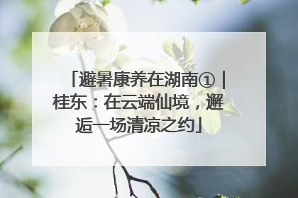 避暑康养在湖南①｜桂东：在云端仙境，邂逅一场清凉之约