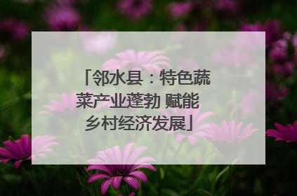邻水县：特色蔬菜产业蓬勃 赋能乡村经济发展